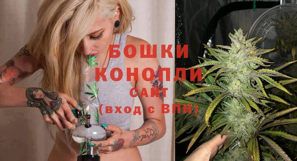 молекула духа Балахна