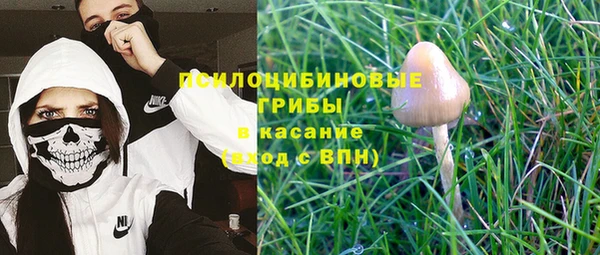 гидропоника Баксан