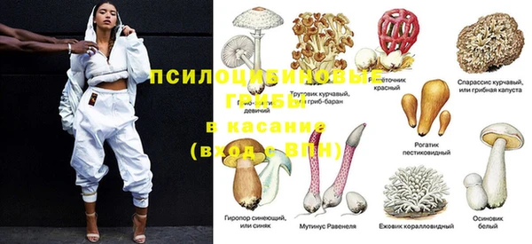 гидропоника Баксан